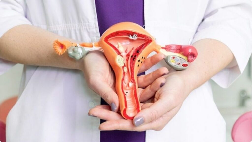 Thuốc trị khô âm đạo gồm những loại nào và dùng sao cho phù hợp? 6 So sánh estrogen âm đạo với hormone estrogen toàn thân