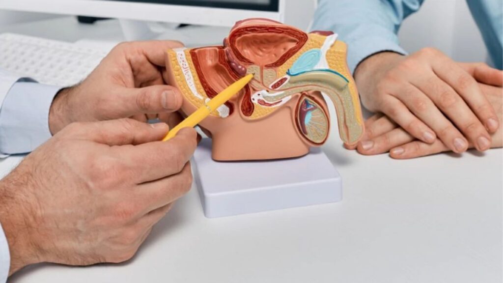 Rối loạn cương dương ở người trẻ do đâu và nên làm gì? 11 Khi nào người trẻ bị rối loạn cương dương nên đi khám
