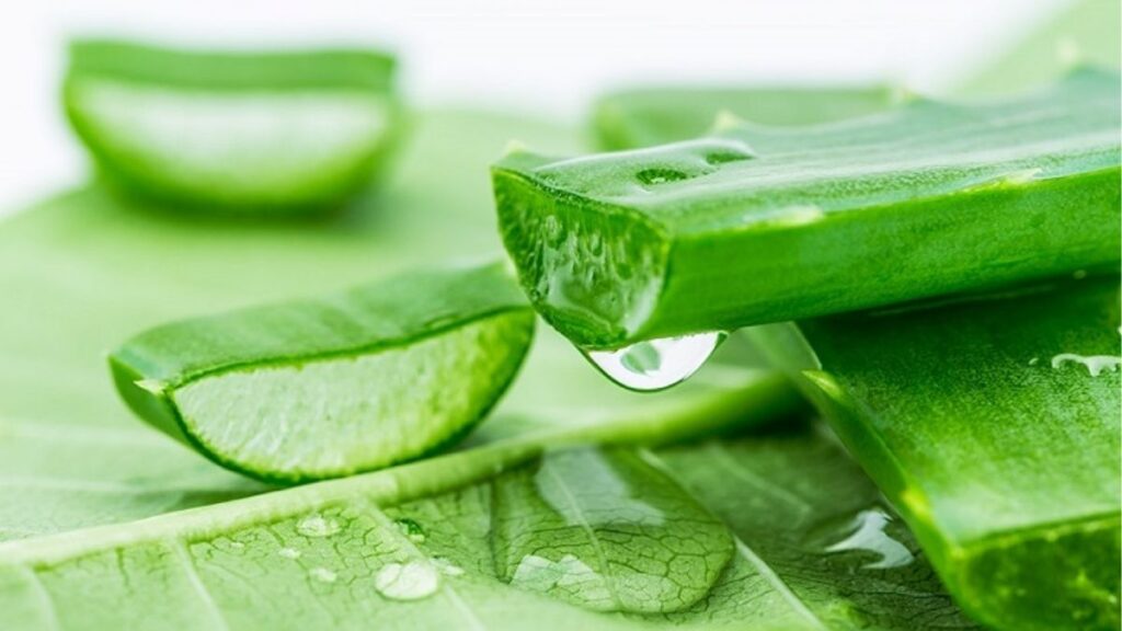 Mẹo chữa khô vùng kín tại nhà: Cách giảm khô rát an toàn 4 Màn dạo đầu giúp tăng tiết dịch bôi trơn tự nhiên
