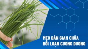 Mẹo dân gian chữa rối loạn cương dương và mức độ hiệu quả thực tế