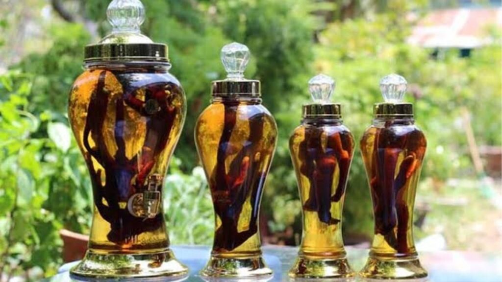 Rượu ngâm thảo dược và rủi ro khi dùng để cải thiện khả năng cương