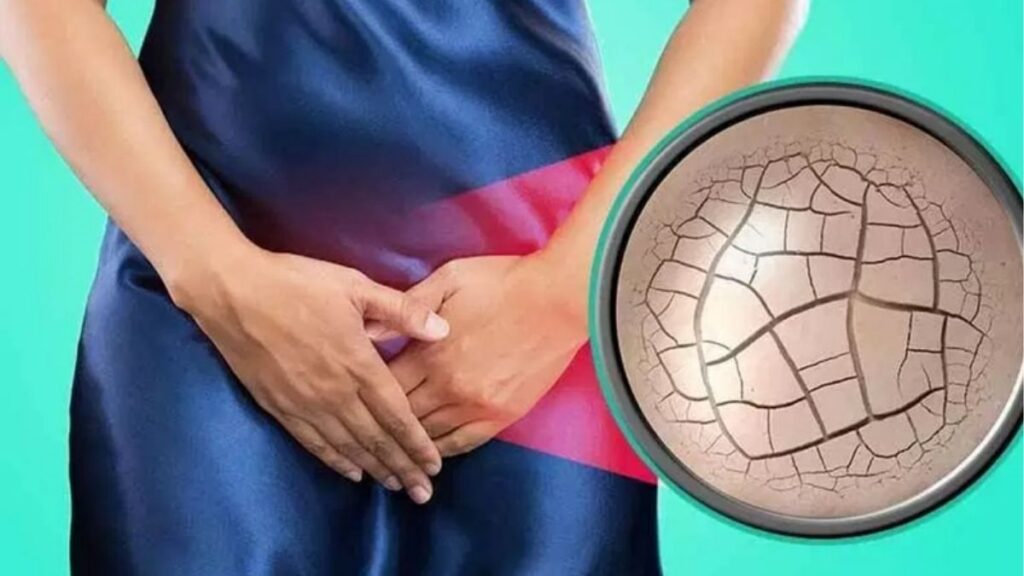 Thực phẩm chống khô hạn ở phụ nữ: Nên ăn gì để hỗ trợ cải thiện? 1 thực phẩm chống khô hạn ở phụ nữ gồm đậu nành cá béo hạt và rau quả