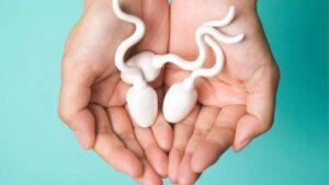 Minh họa xuất tinh ở nam giới và quá trình phóng tinh dịch